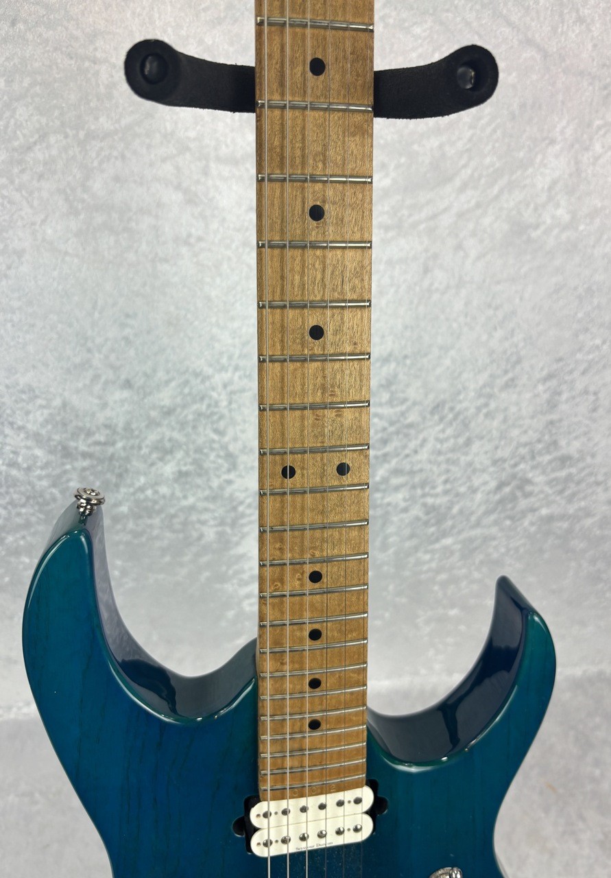 Ed Roman Scorpion Picasso electric guitar with case