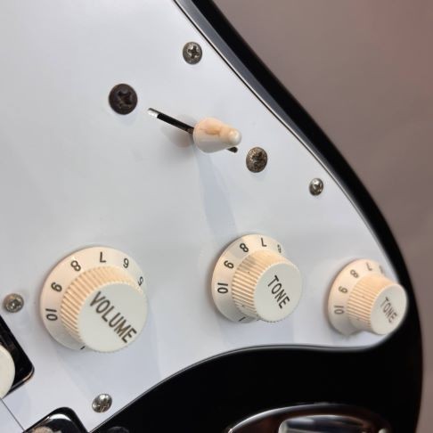 FUJIGEN FGN JST5R