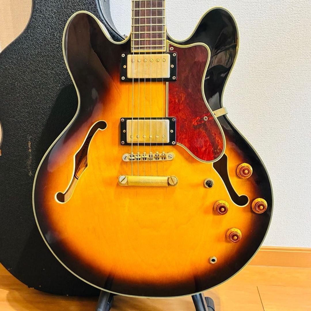 Epiphone SHERATON II Pro VS Verified Epiphone