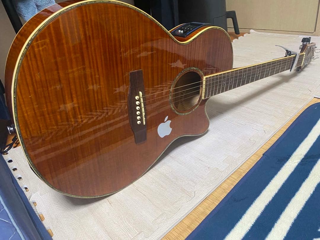 Cooder by Takamine TCP-560 VB Guitar