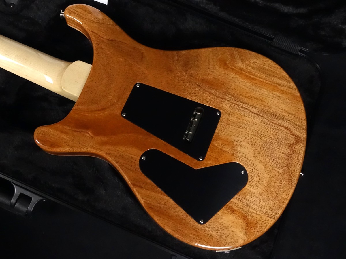 Paul Reed Smith (PRS) Custom 24 “Floyd” 10Top Charcoal 2025