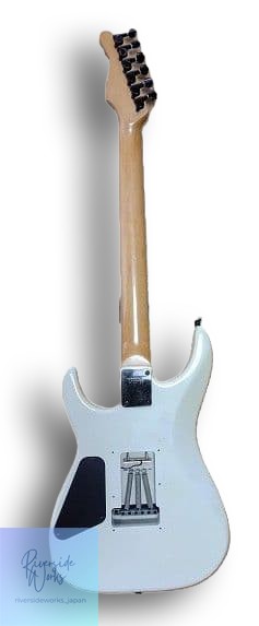 FERNANDES FR-55T with Gig Bag