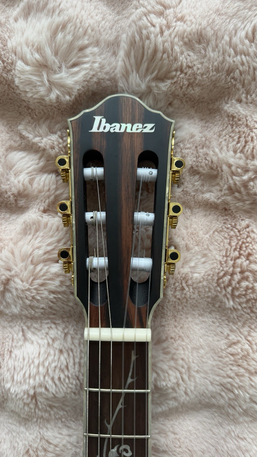 Ibanez TOD10N Tim Henson Signature Nylon-string Acoustic-electric Guitar – Black