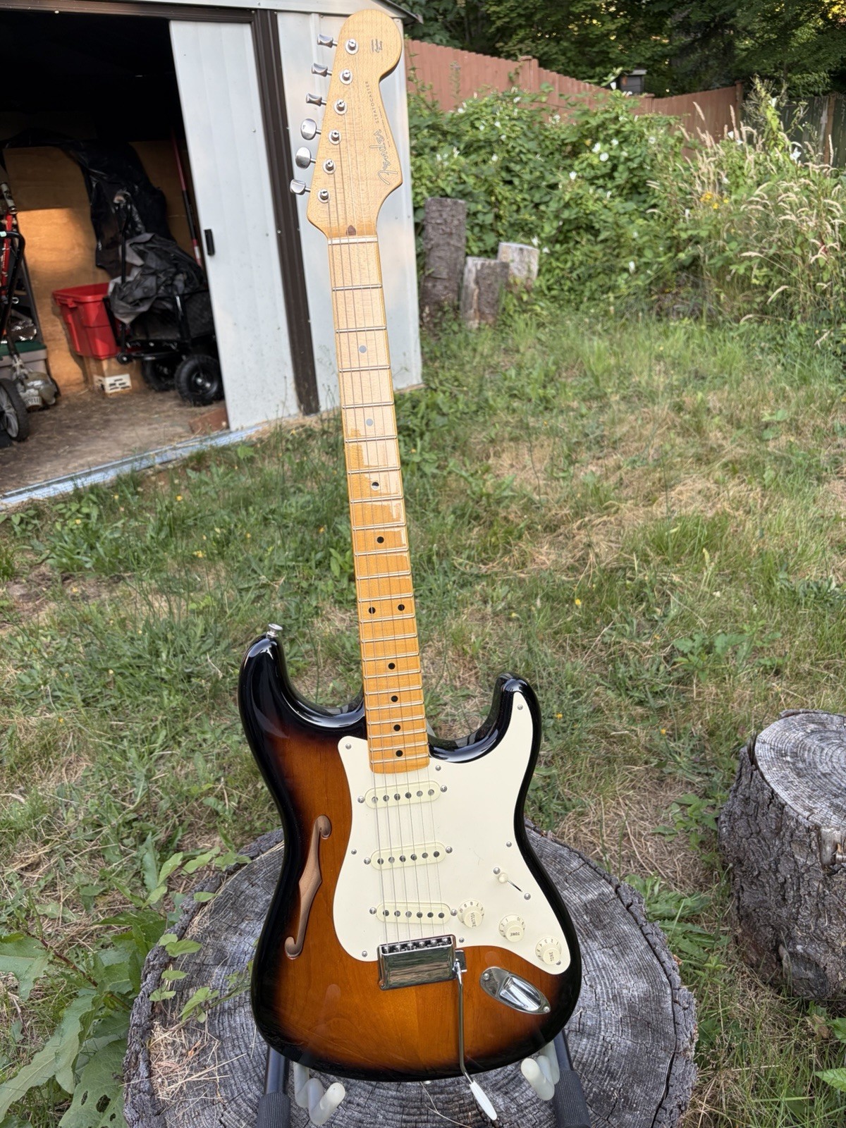 Fender Eric Johnson Signature Stratocaster Thinline 6 String Maple…USA