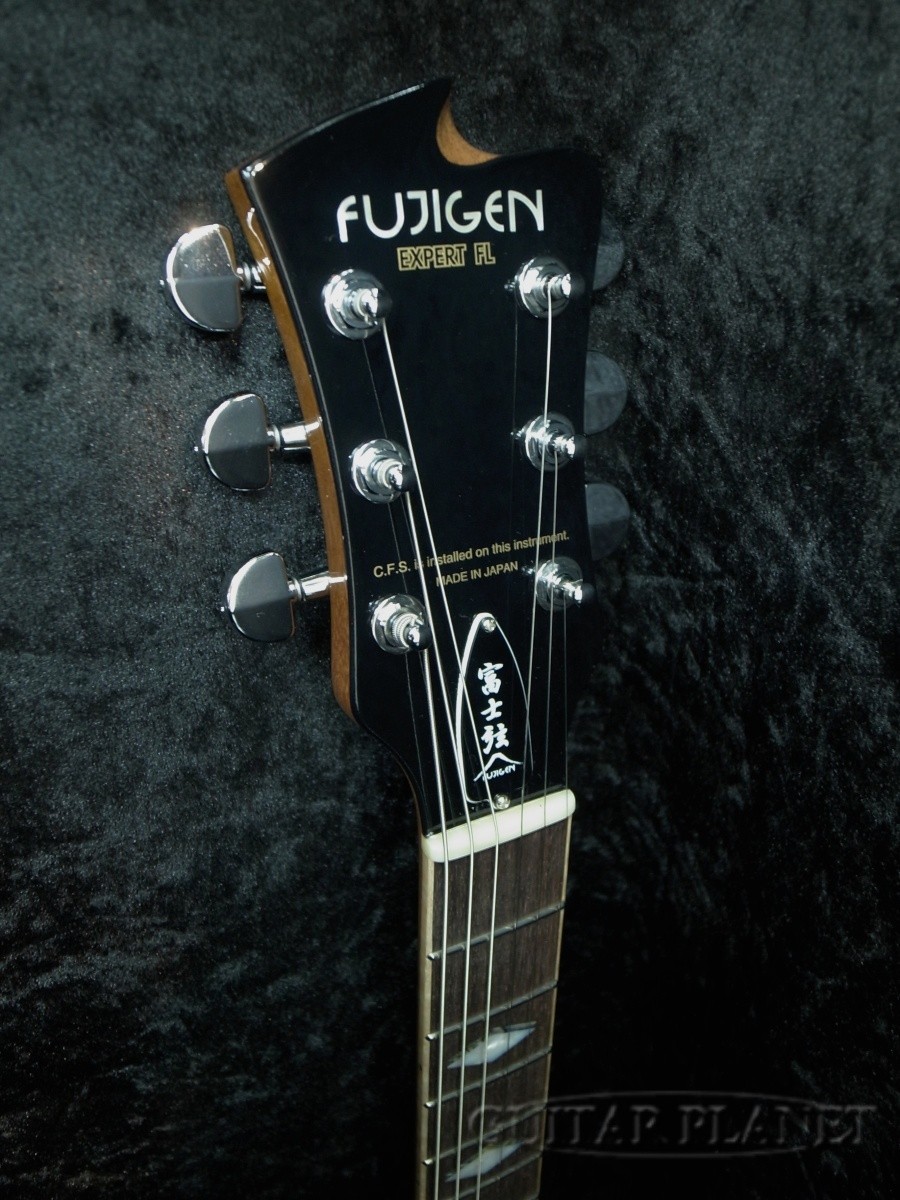 FUJIGEN (FGN) EFL-QM-TBLU Gradation 3.80kg Electric Guitar
