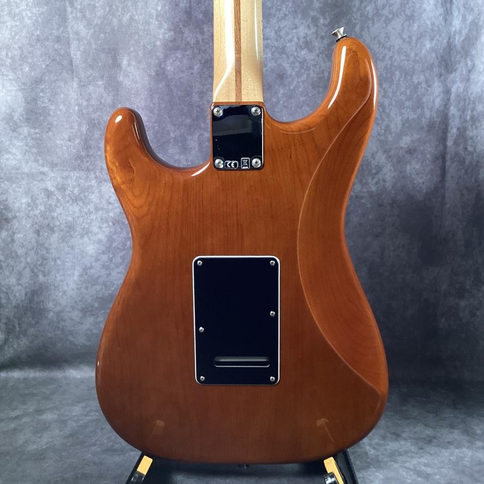 Fender American Special Stratocaster 2018 USA Texas Special Used
