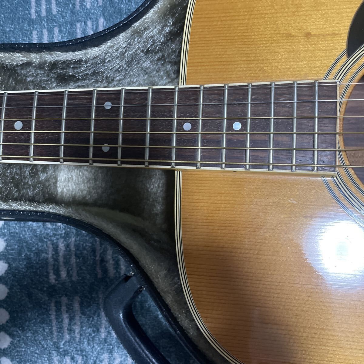 SALE! Jacaranda Takamine beautiful item! Roaring Elite TW-60 Rare Top veneer