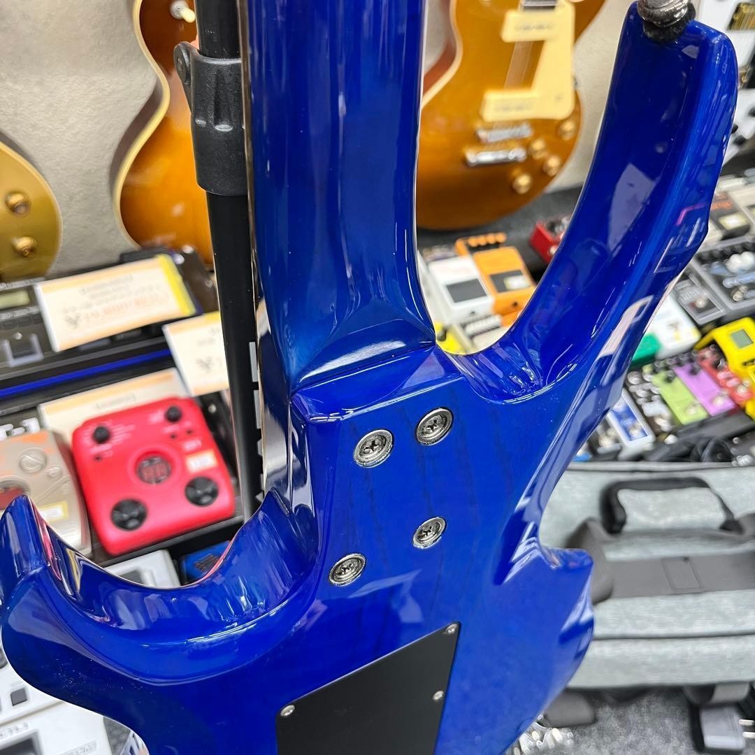 Grass Roots by ESP Forest Blue Safe packing!