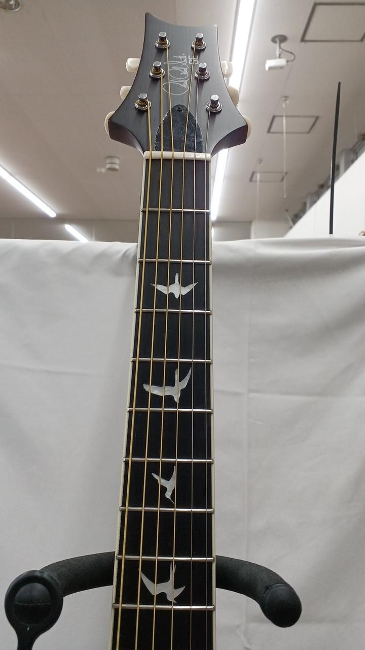 PAUL REED SMITH SE P20 Electric Acoustic Acoustic