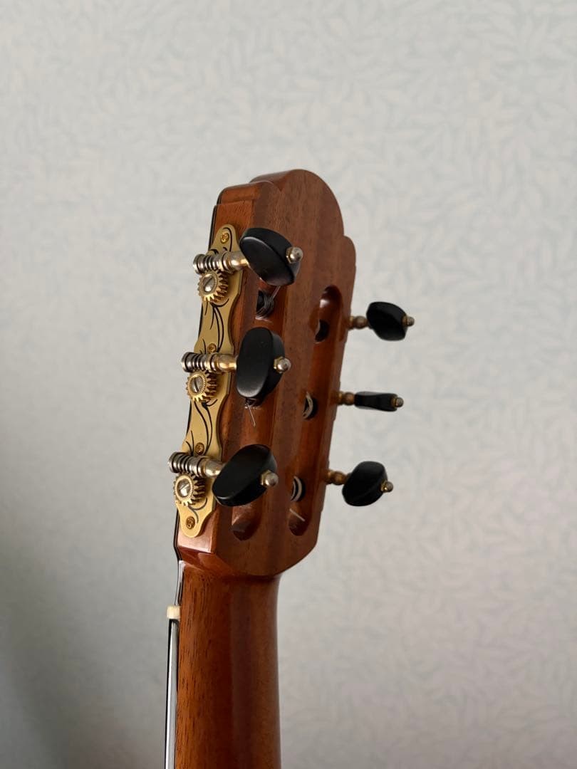 Martinez hauser with case