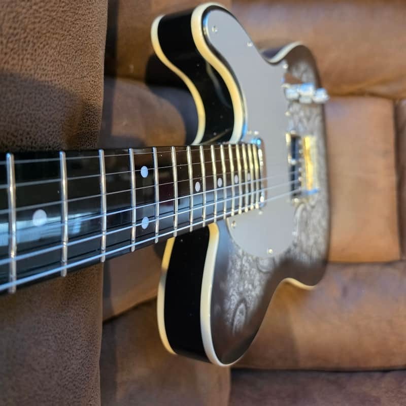 Partscaster Custom Telecaster Paisley