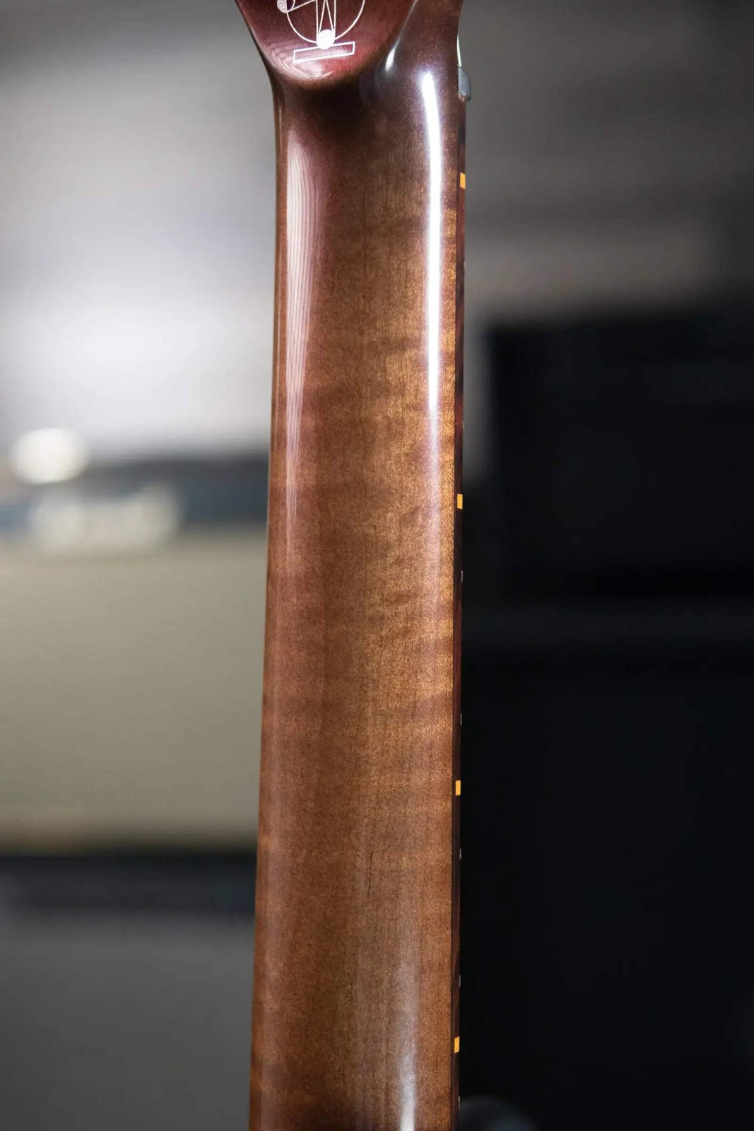 Dunable Custom Gnarwhal 9-String 1-Piece Curly Redwood Electric Guitar – Charcoa