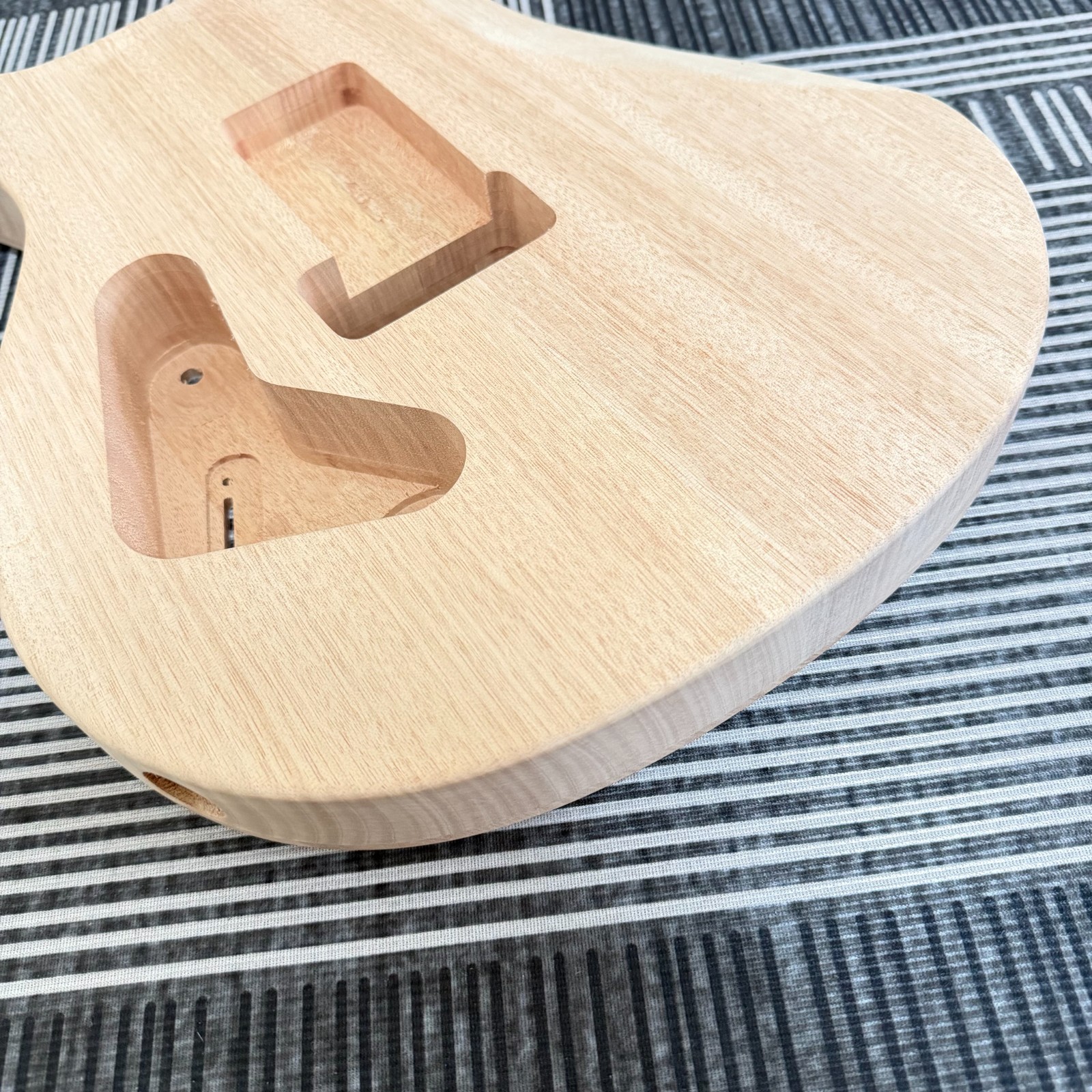 Unfinished PRS DIY Guitar Kit with Bird Inlay, Tremolo Bridge & Humbucker Pickup