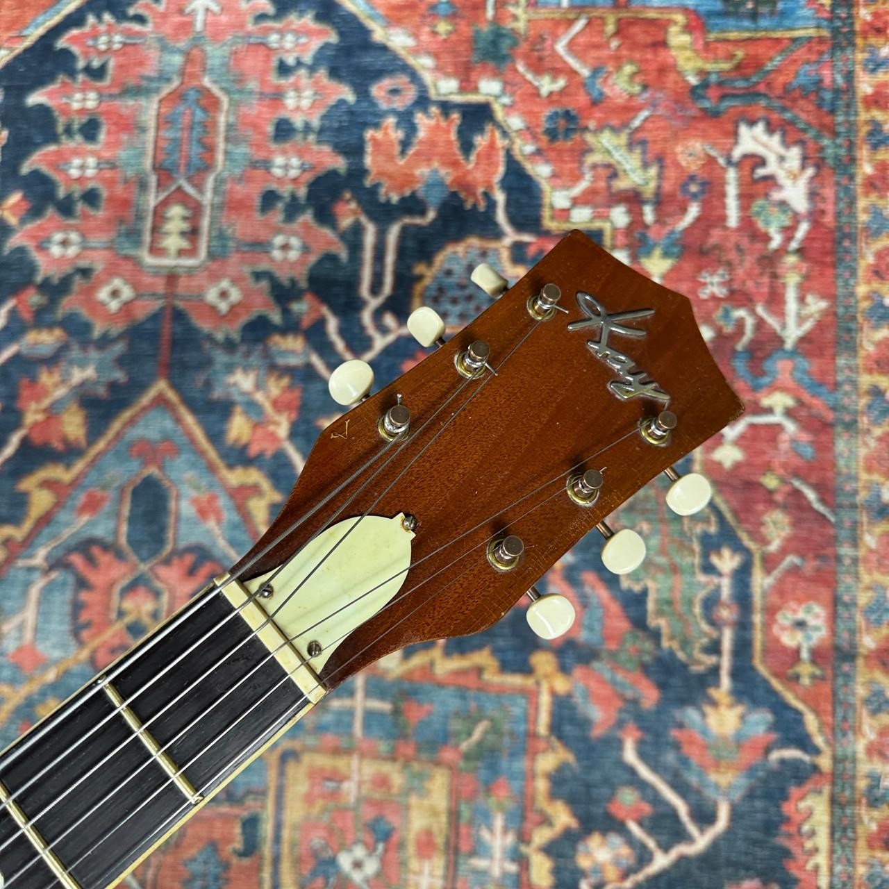 *Video* 1960’s Kay N-1 Hollowbody w/Fralin P-90 Mahogany