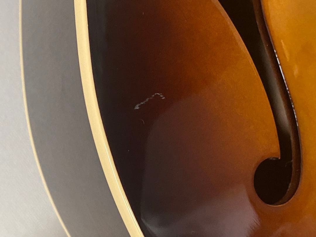 Archtop Tribute Electric Guitar