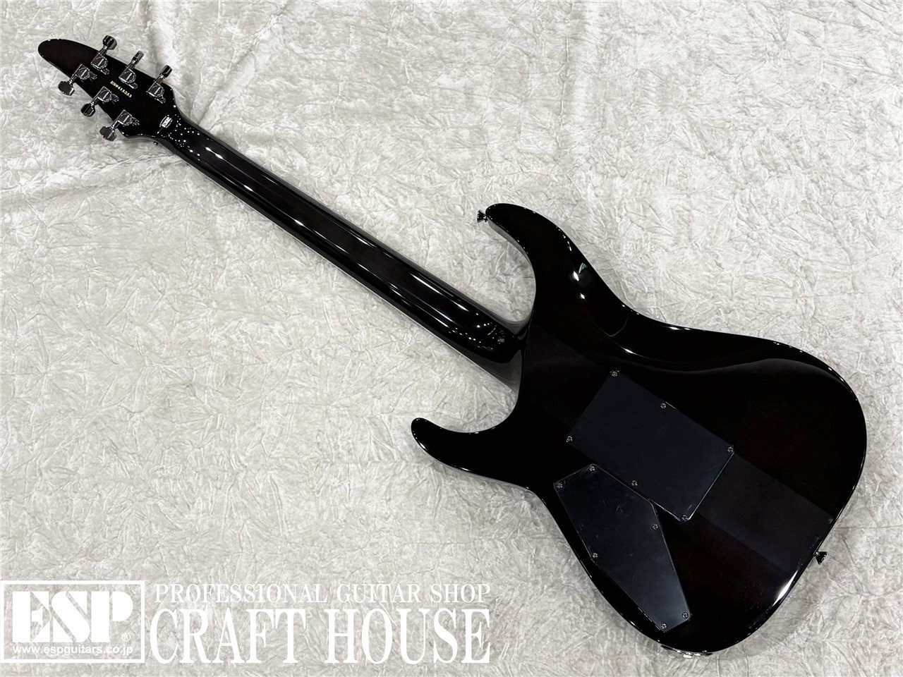 E-II Horizon SGZ Custom Quilt See Thru Black X JAPAN SUGIZO Signature Model Used