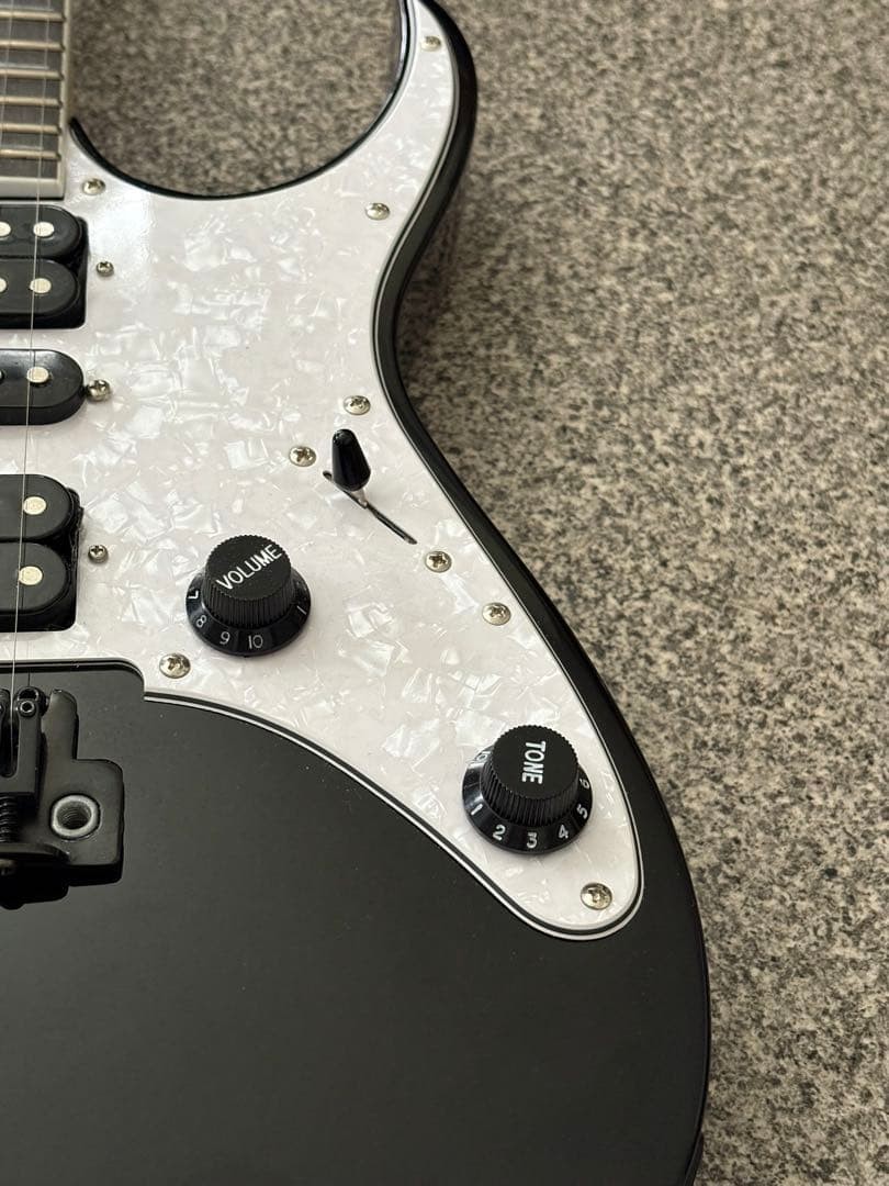 Ibanez RGV250 Black Electric Guitar