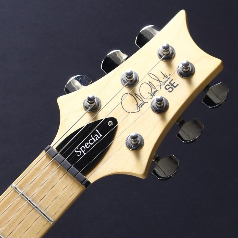 P.R.S. SE Swamp Ash Special Used Vintage Sunburst w/Gig case