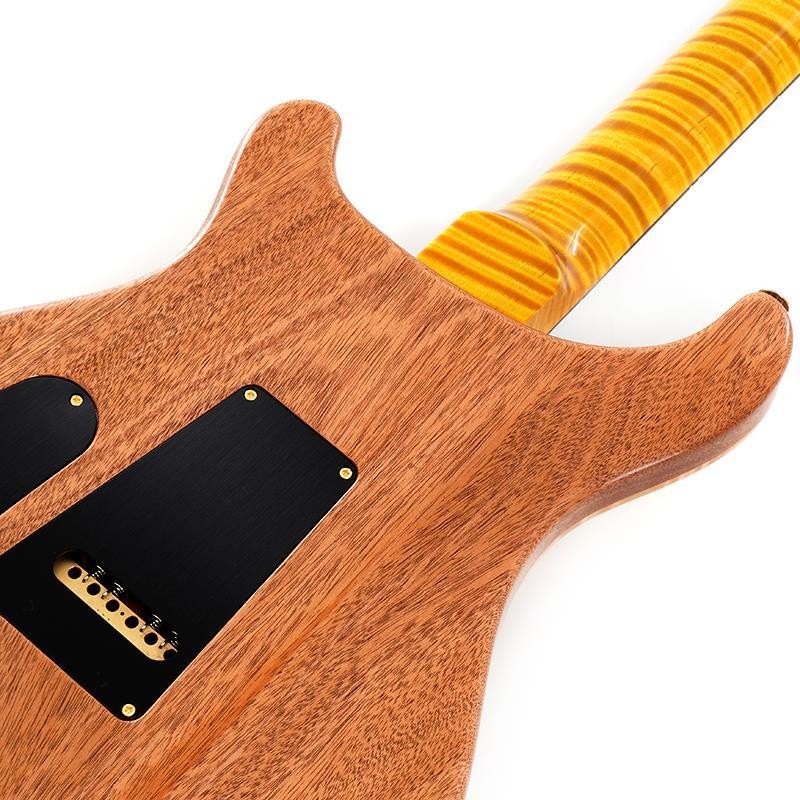 Paul Reed Smith(PRS) Wood Library Special Semi-Hollow (Honey Gold) SN.0402027