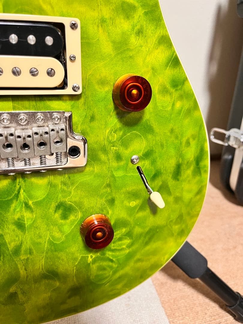 PRS SE Custom 24 Quilt Eriza Verde with Case