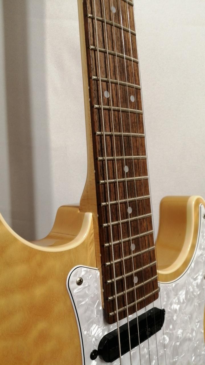FERNANDES REVOLVER CLASSIC SERIES Stratocaster type