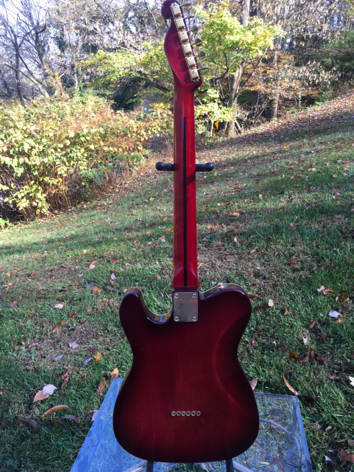 Bill’s Brothers , ( Bill Lawrence) Morris, Telecaster