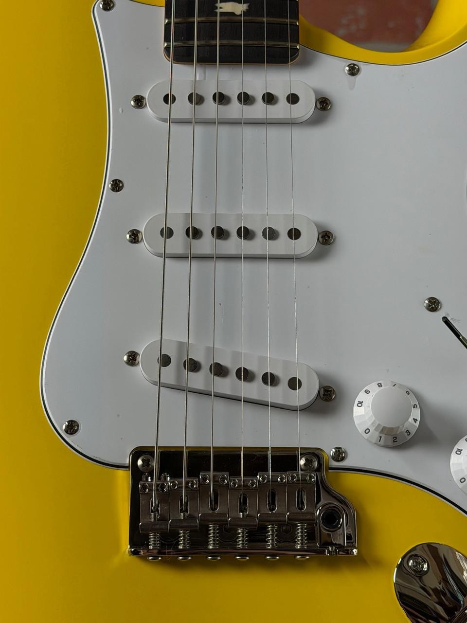 PRS SE Silver Sky Rosewood Fingerboard Electric Guitar – Dandy Lion