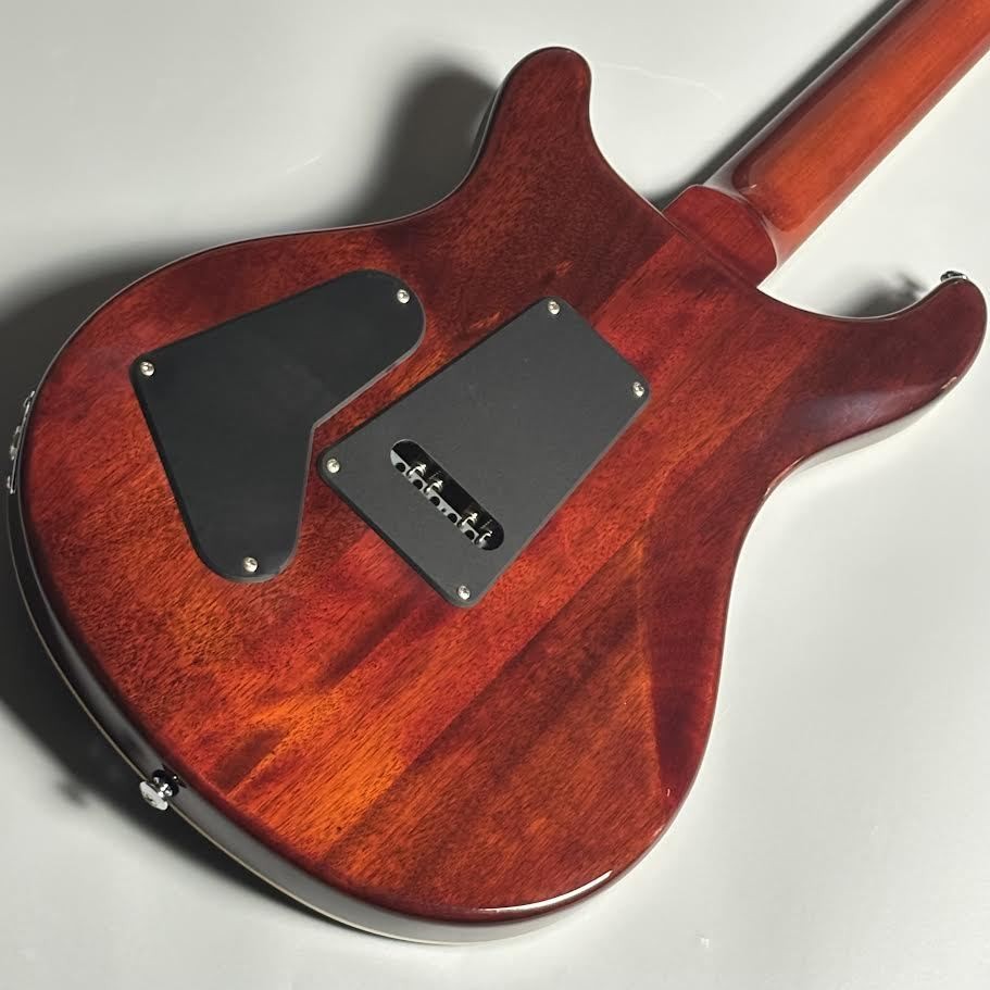 Paul Reed Smith PRS SE STANDARD 24-08 TB