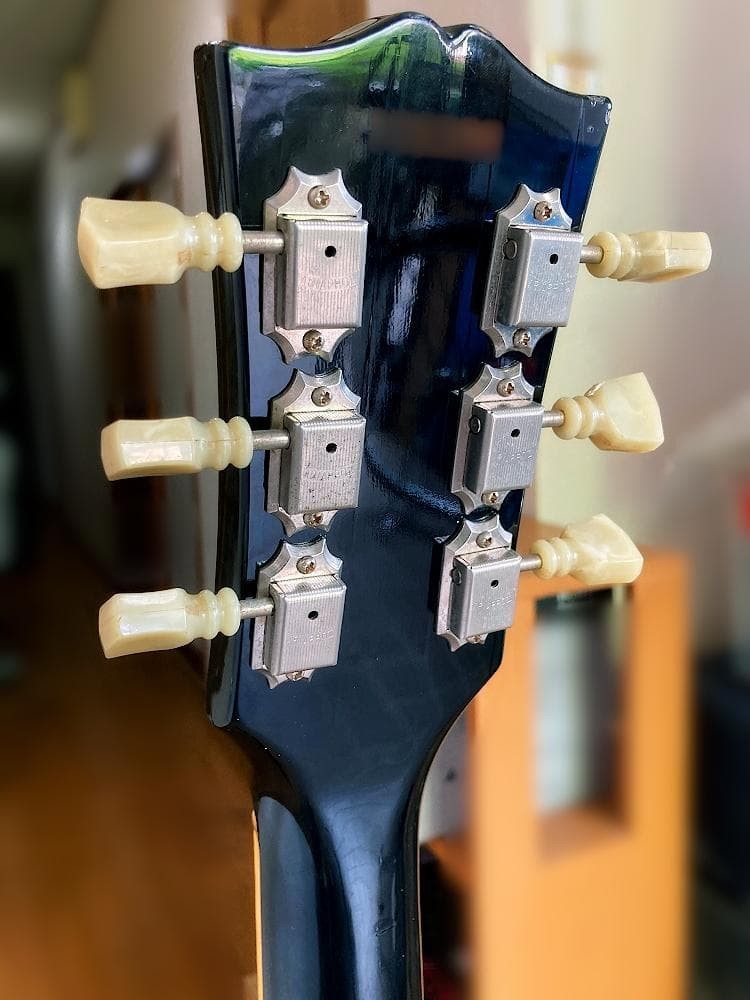 Aria Pro II LS Leopard Aria Pro 2 Les Paul Type Safe packing!