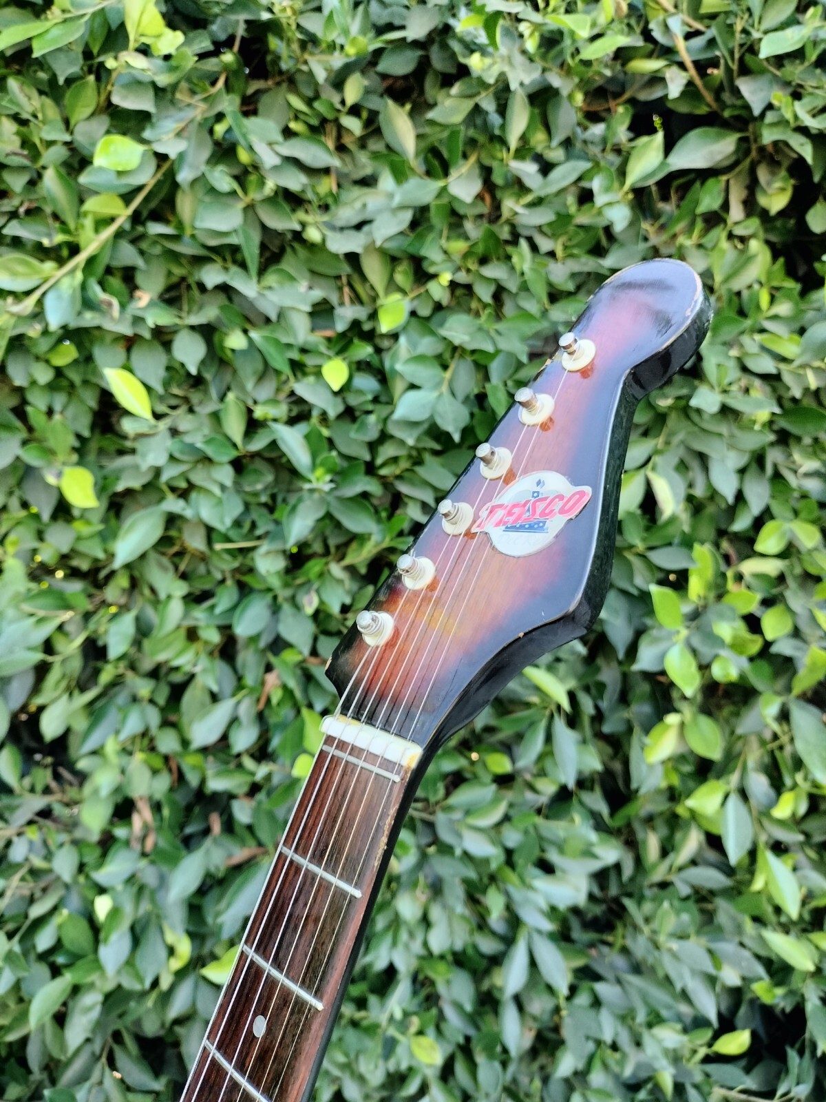 Teisco Del Rey ET-200 Tulip