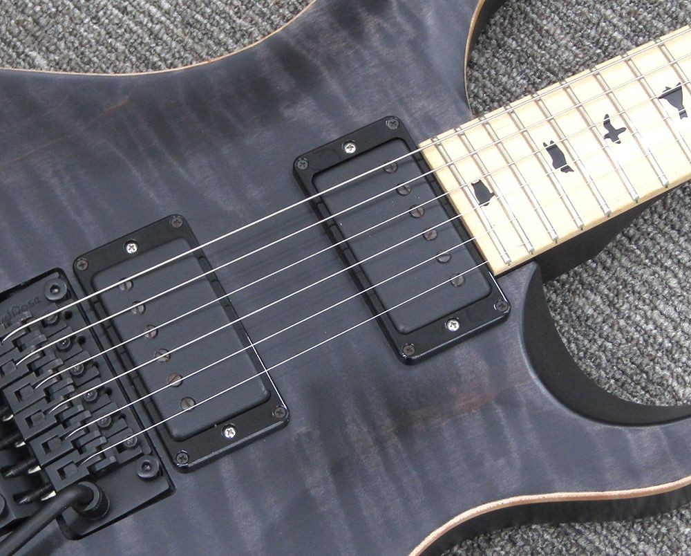 Prs Paul Reed Smith Dw Ce 24 Floyd Dustie Waring Signature Dusty Model