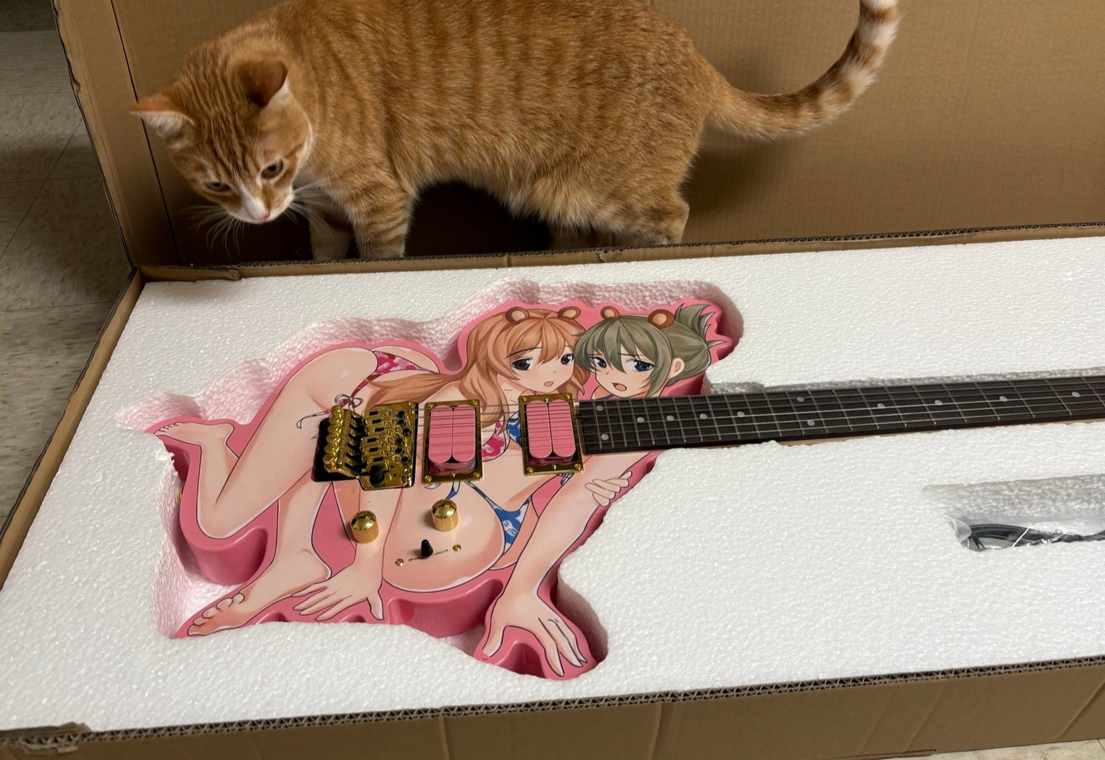 🎀🎸 Custom Pink Anime Girl Electric Guitar – Rare Statement Piece 🎸🎀