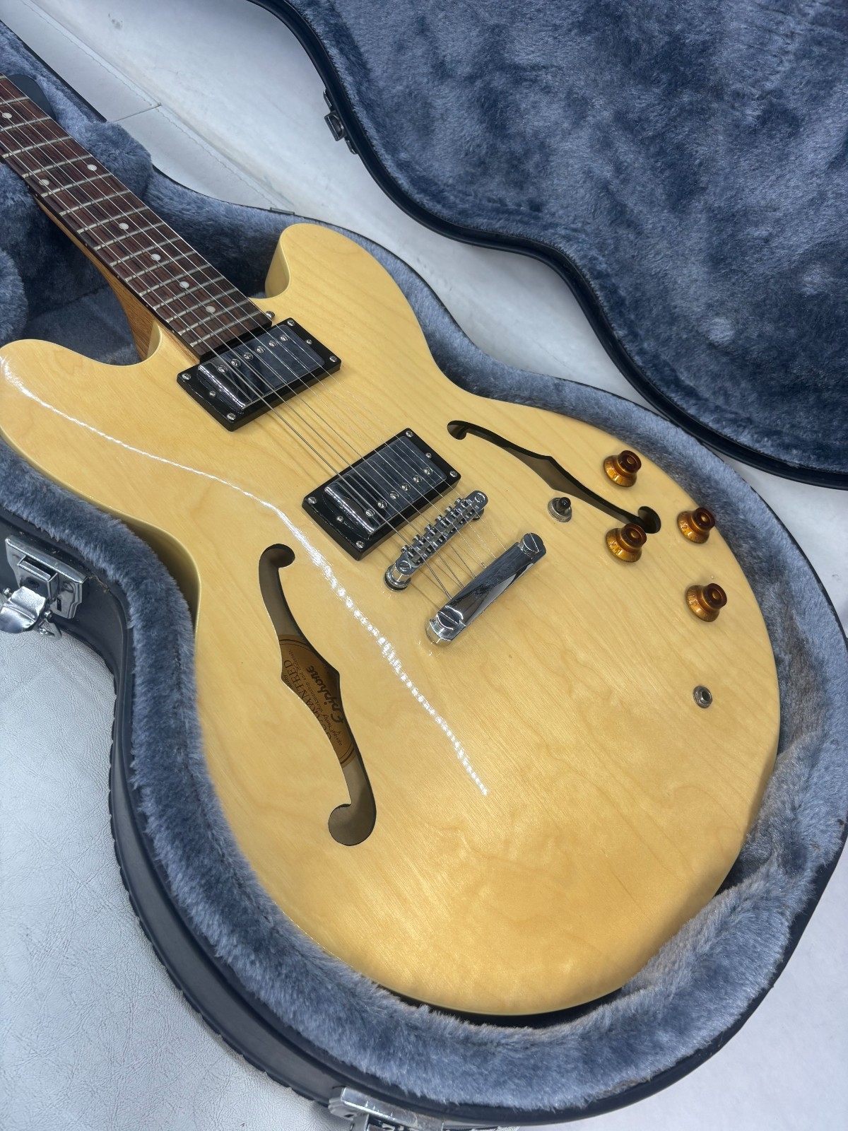 Epiphone Dot W/ Hard Case