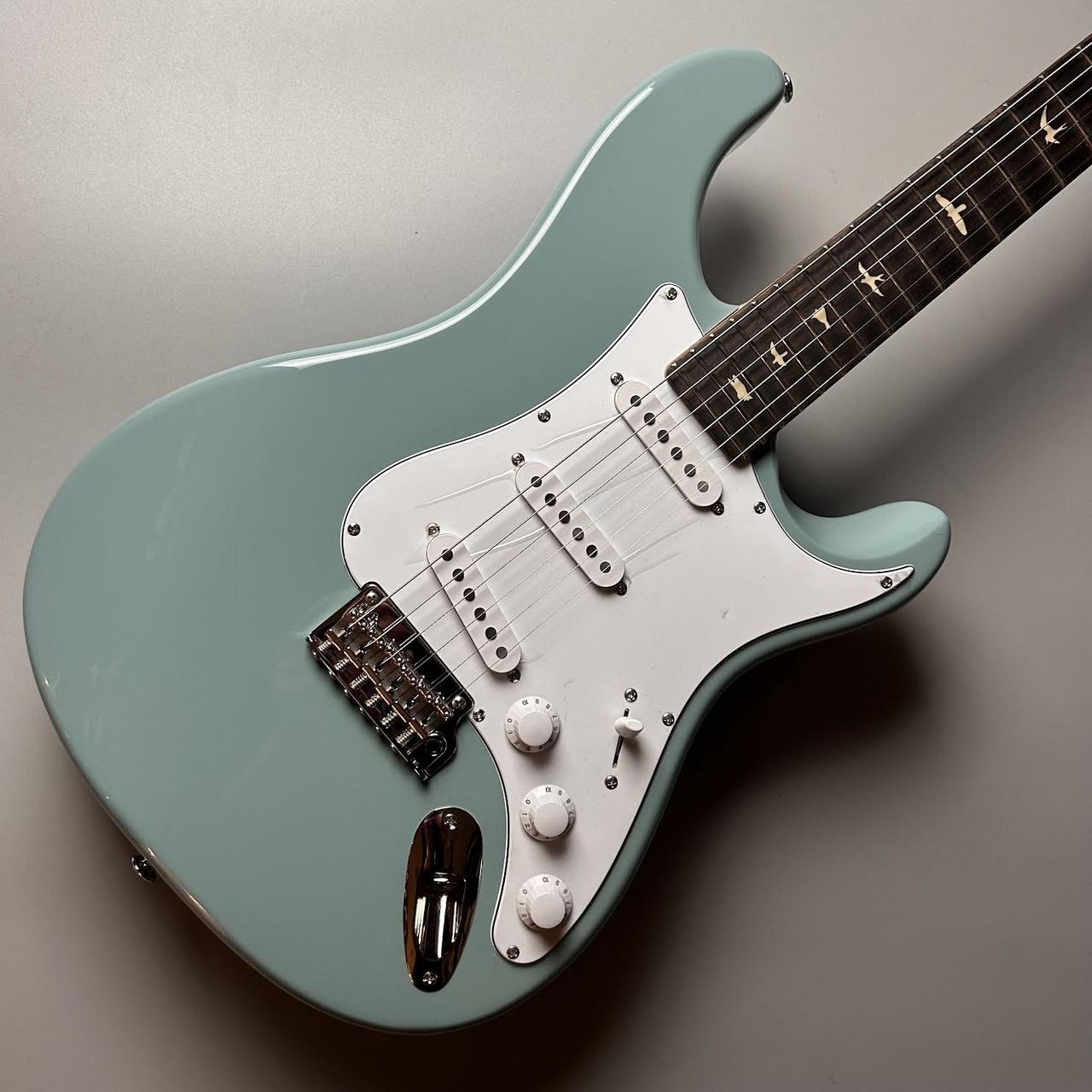 Paul Reed Smith(PRS) 3.50kg SE Silver Sky Stone Blue #GGash