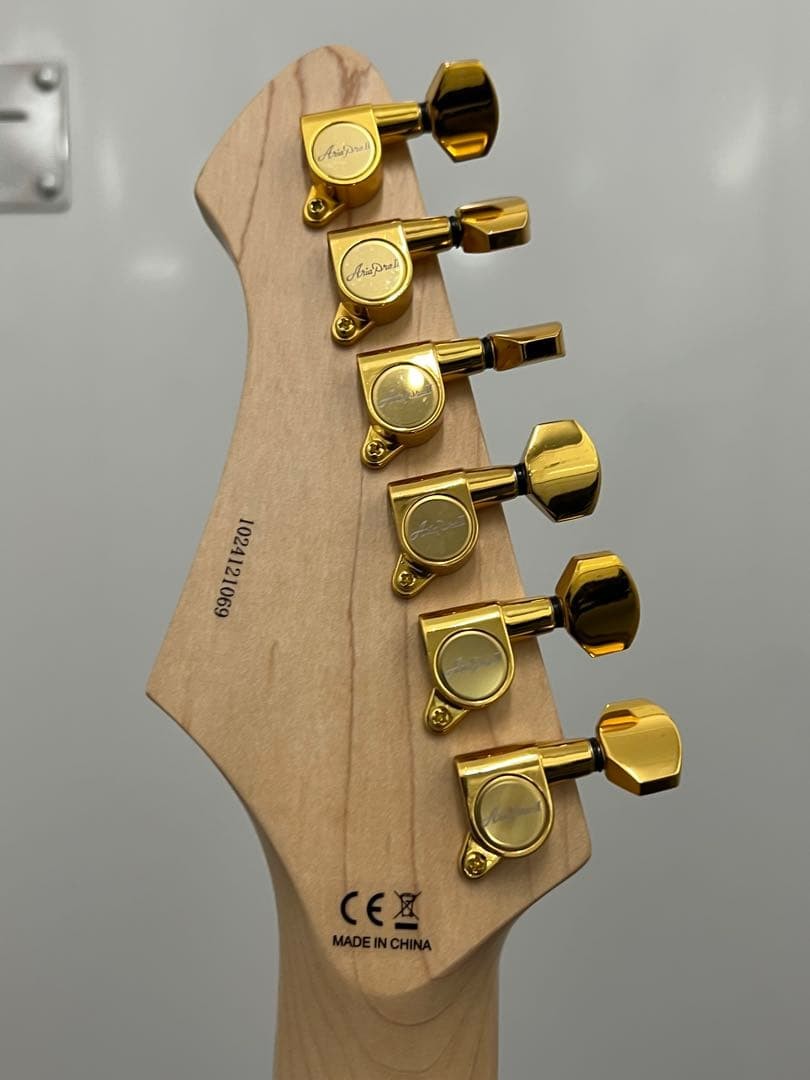 Aria Pro Ii Teg-780 Warranty With Genuine Gig Bag
