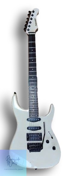 FERNANDES FR-55T with Gig Bag