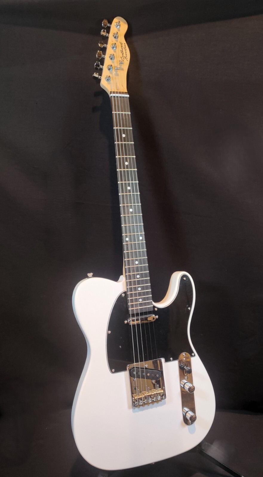 Custom Telecaster Style Guitar by Southwest Acoustics- Fast Local Shipping