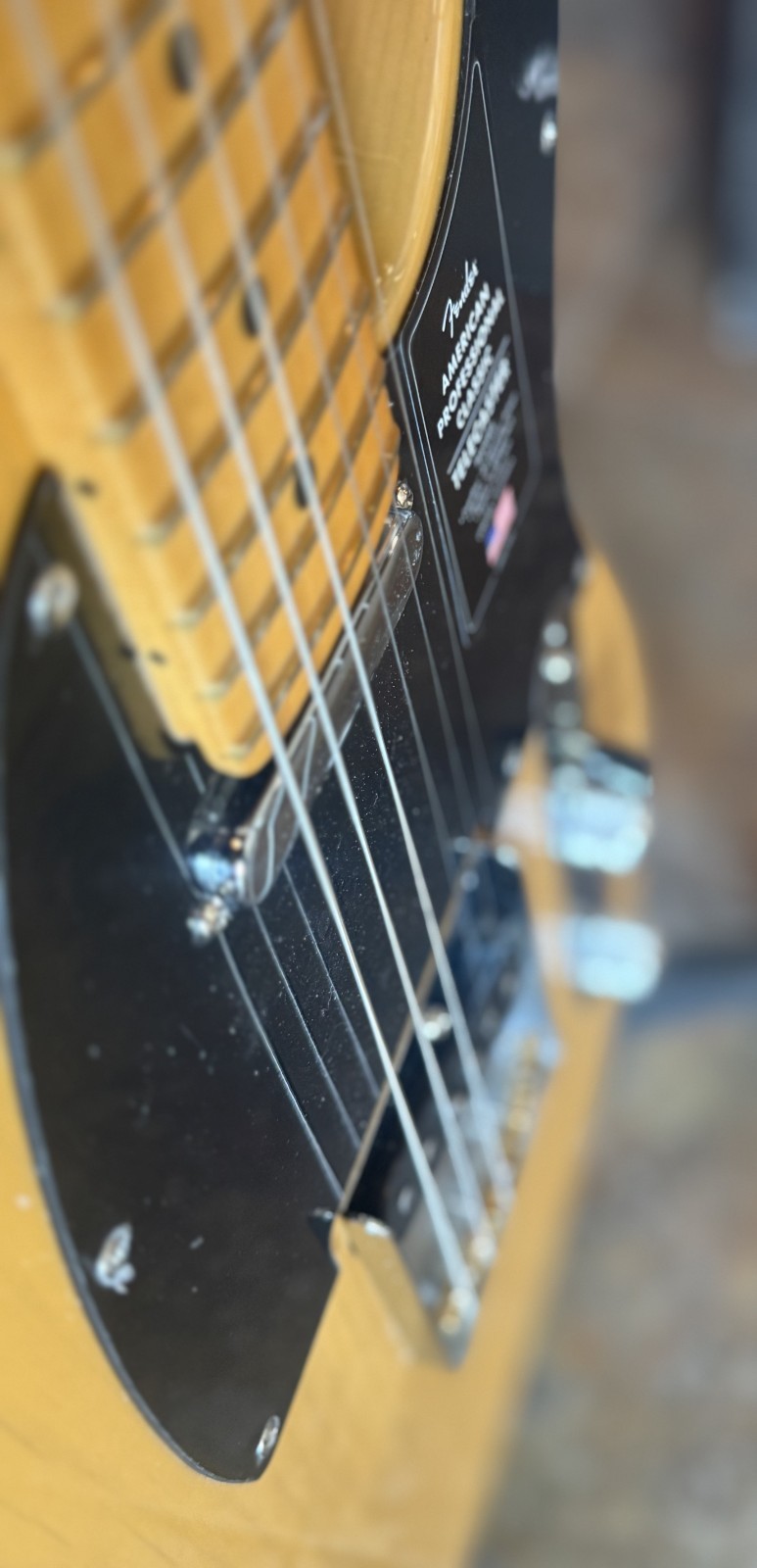 Fender American Pro Classic Telecaster Butterscotch Blonde With Premium Gig Bag