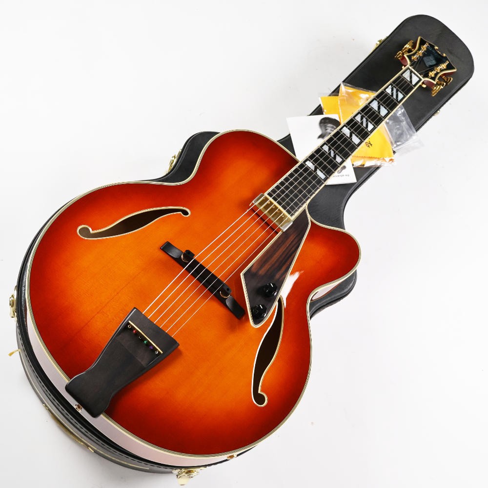 D’Aquisto Used D’Aquisto DQ-NYE New Yorker ALB 2014 model