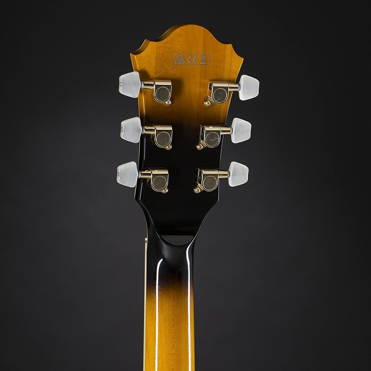 Ibanez Electric Guitar GB10SE George Benson Signature Brown Sunburst