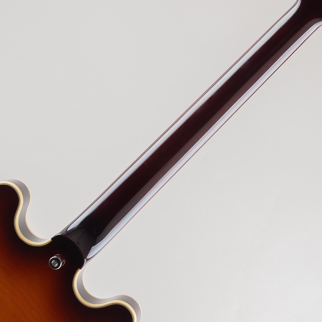 FUJIGEN FGN MSA-HP Antique Sunburst
