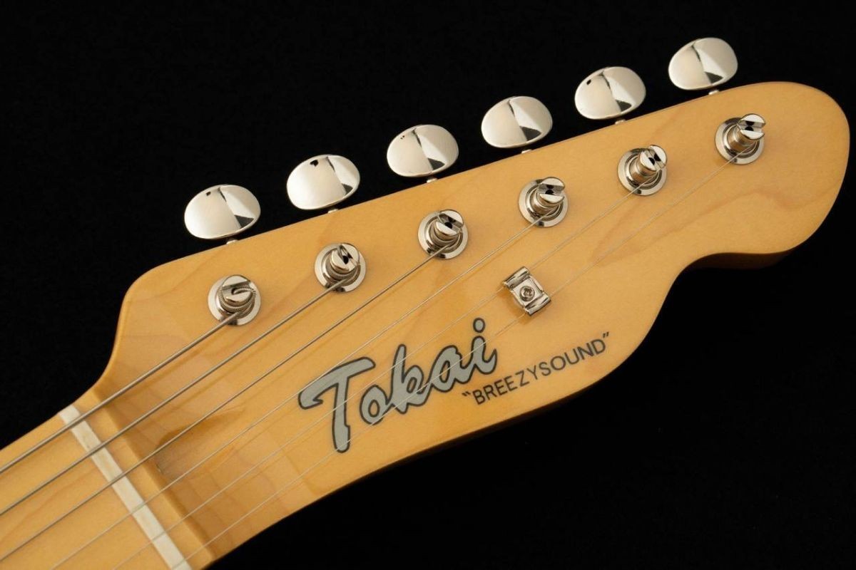 Tokai / ATE-101 – Pink Paisley / PR – [Limited Production Model] Electric Guitar