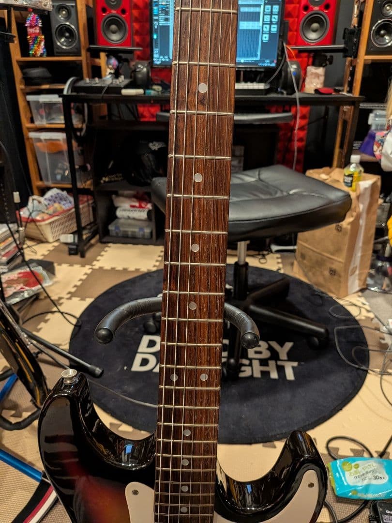 Super beautiful item, finest individual Aria Pro II FL-series