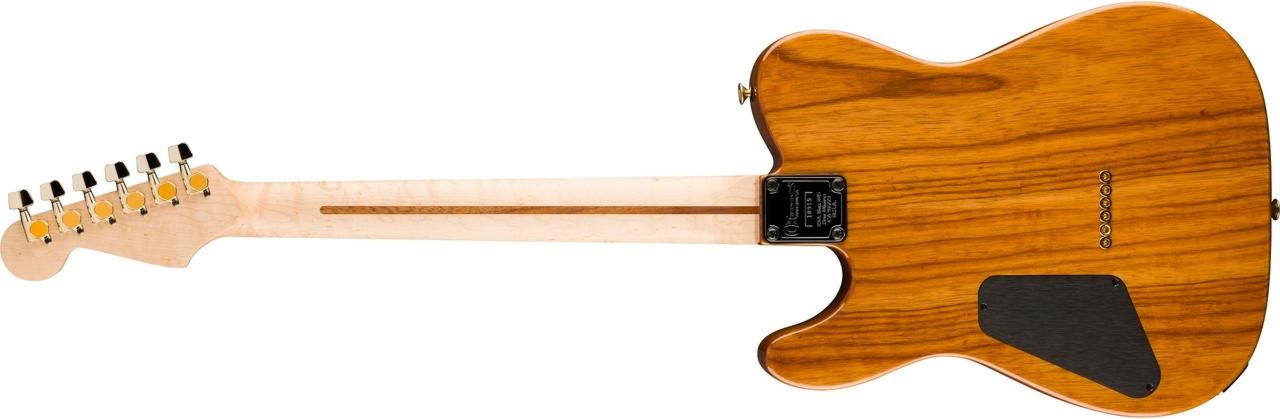 2025 USA CHARVEL CUSTOM SHOP / SPECIAL EDITION STYLE 2  TASMANIAN BLACKWOOD