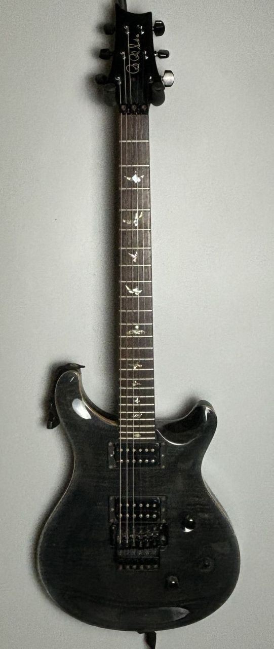 Paul Reed Smith (PRS) Custom24 10TOP Floyd Electric Gutiar [AUTH]