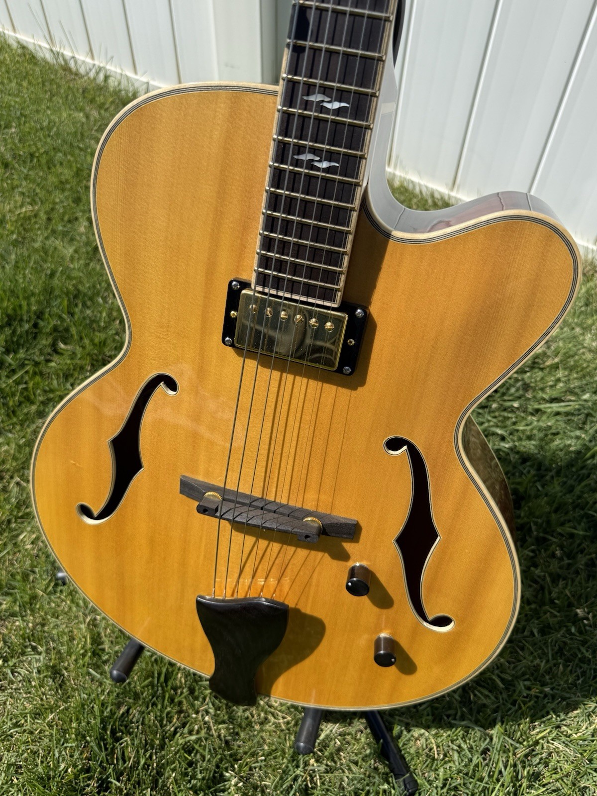 Yunzhi Jazz Box Archtop Guitar Solid Spruce Top 2024