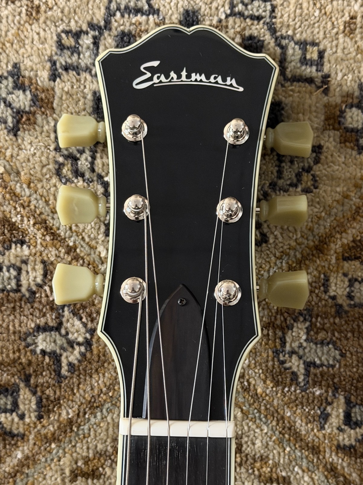 Eastman T484-BK 14″ Archtop Thinline Deluxe Electric w/ Hard Case & Free Setup