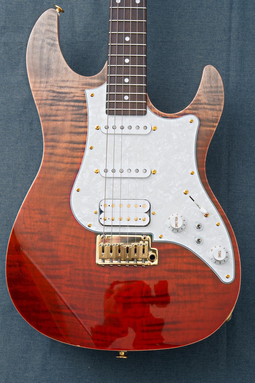 FUJIGEN(FGN) EOS2-FM-R -Ripe Kaki Gradation- RKG 3.75kg Made in Japan #GG1g1