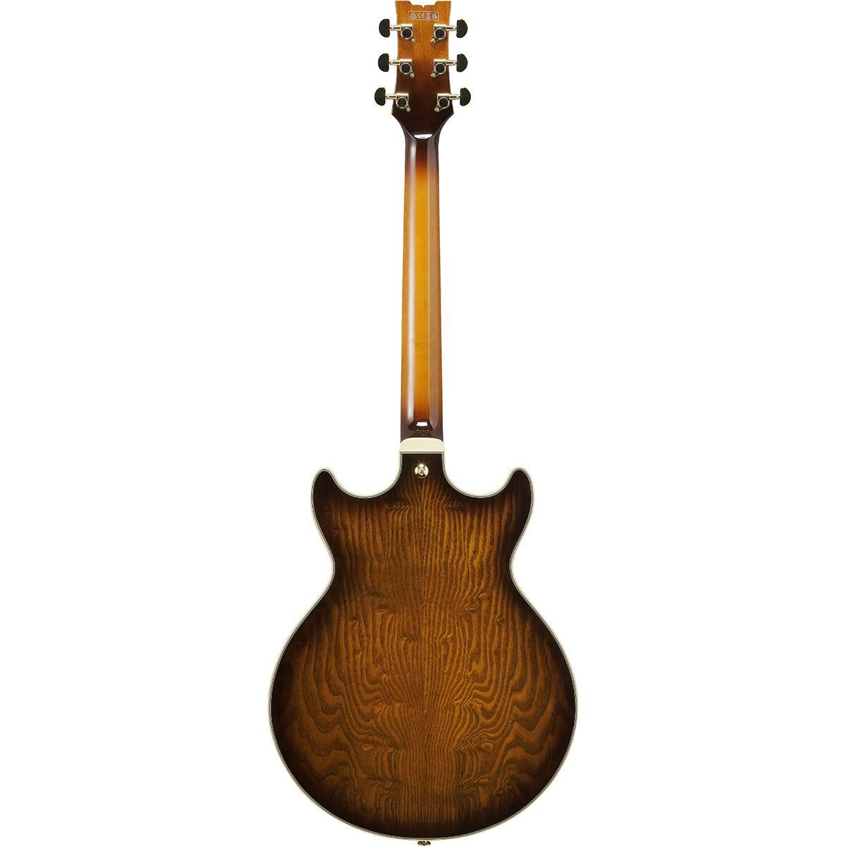 Ibanez Artcore Expressionist Series AM93QA Electric Guitar