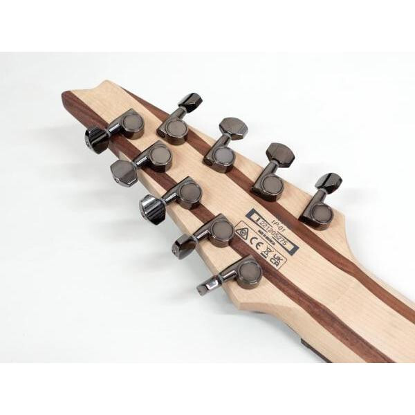 Ibanez Axe Design Lab RG9PB-TGF 9 string electric guitar